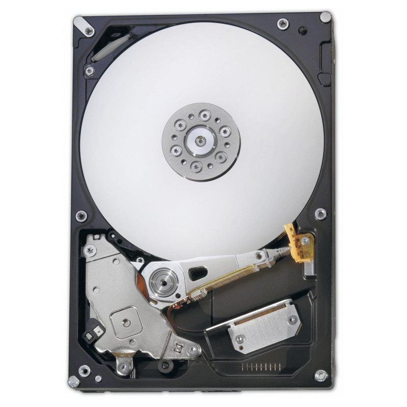2.5-inch Hot Plug SAS HDD,
