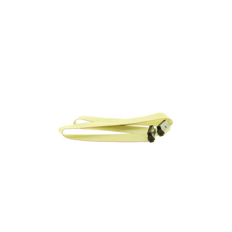 Point to Point SCSI Cable