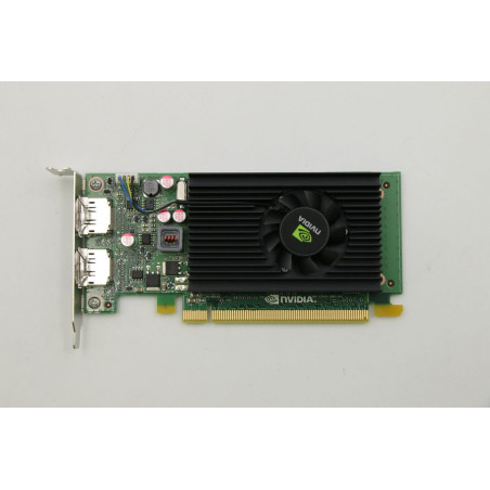1GB NVIDIA NVS 310 graphics
