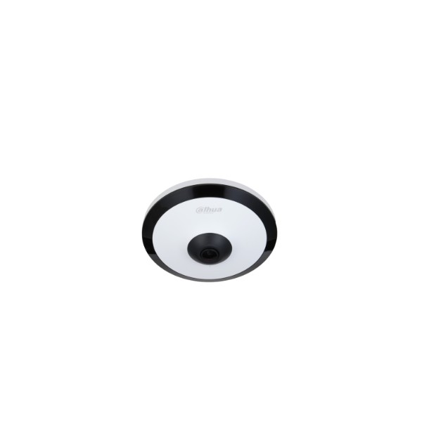 DH-IPC-EW5541P-AS