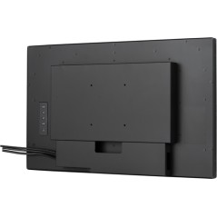 Prolite TF2438 23,8",PCAP 10P