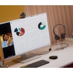 Headset USB H390