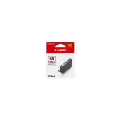Ink/CLI-65 PM EUR/OCN Cartridge