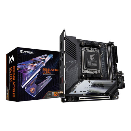 (Rev. 1.0) Motherboard Amd