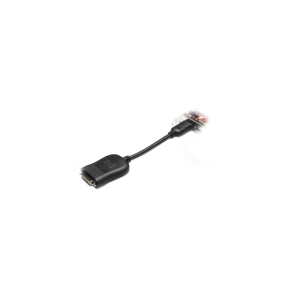 DisplayPort (DP) to DVI-D Adap DisplayPort (DP) to DVI-D Adap