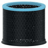 Carbon Filter Allergy TruSens | APLIUM