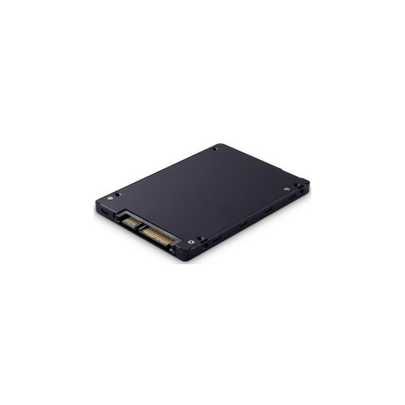 5100 2.5" 480 Gb Serial Ata