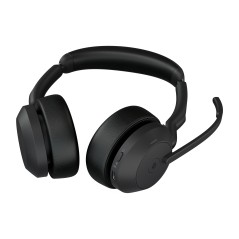 Evolve2 55 - Link380C Ms