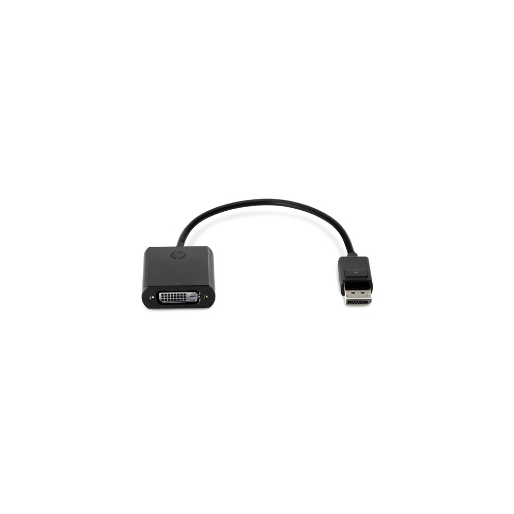 Display Port to DVI SL Adapter Display Port to DVI SL Adapter