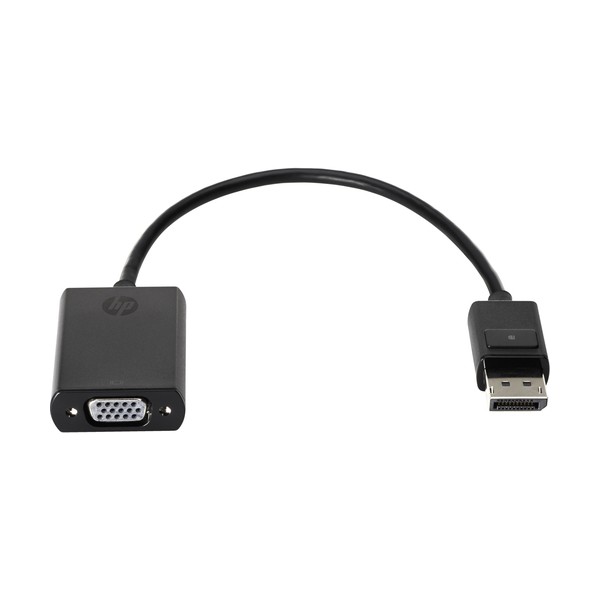 Display Port to VGA Adapter