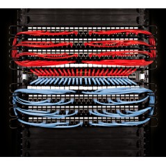 Plus+ Cat.6a (UTP, Red, 1.8m