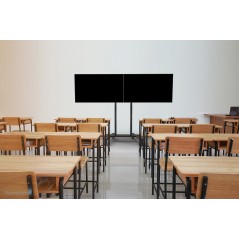 Adm-875Bl2 Dual Screen