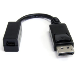 DisplayPort to Mini DisplayPort Adapter