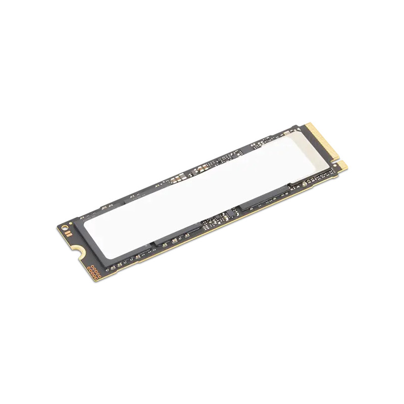 HDD_BO TS 2T PCIe G5 M.2 2280 SSD