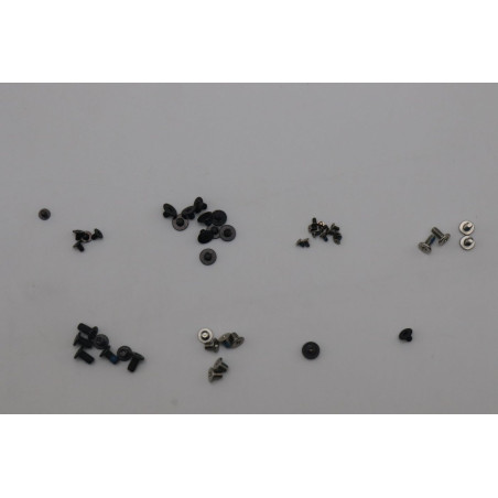 ThinkPad Intel Screw Kit for