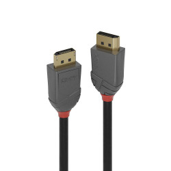 Lindy 36486 cable DisplayPort 10 m Negro | APLIUM
