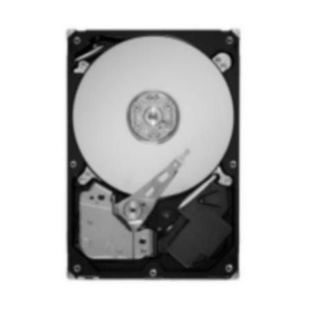 LS 3.5" 2TB7.2K NLSASHDD
