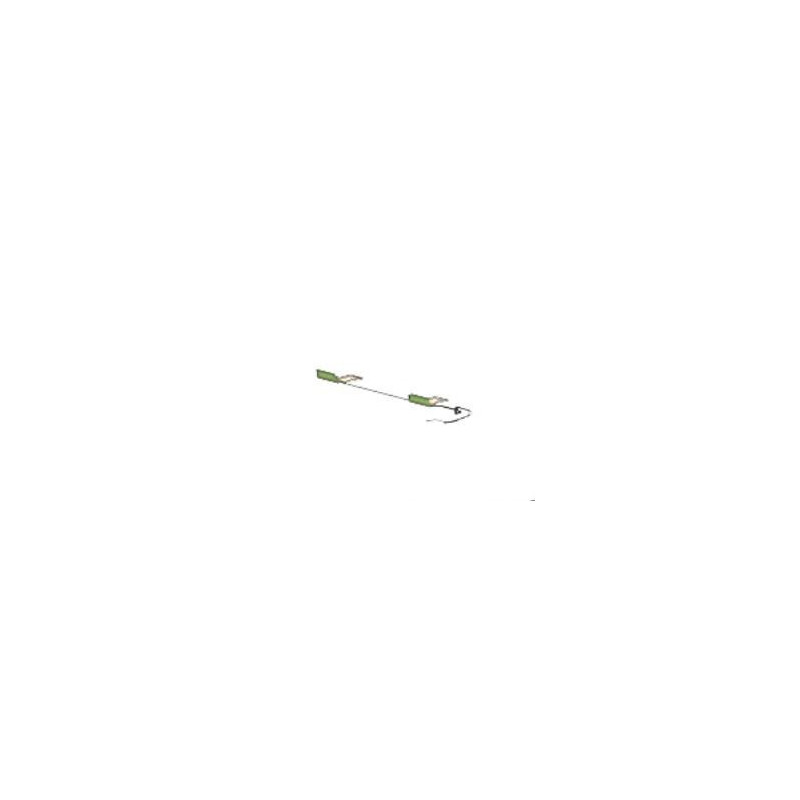 Antenna Dual