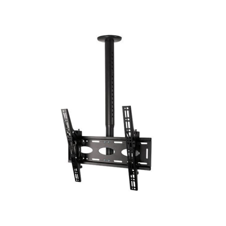Flat Screen Cieling Mount