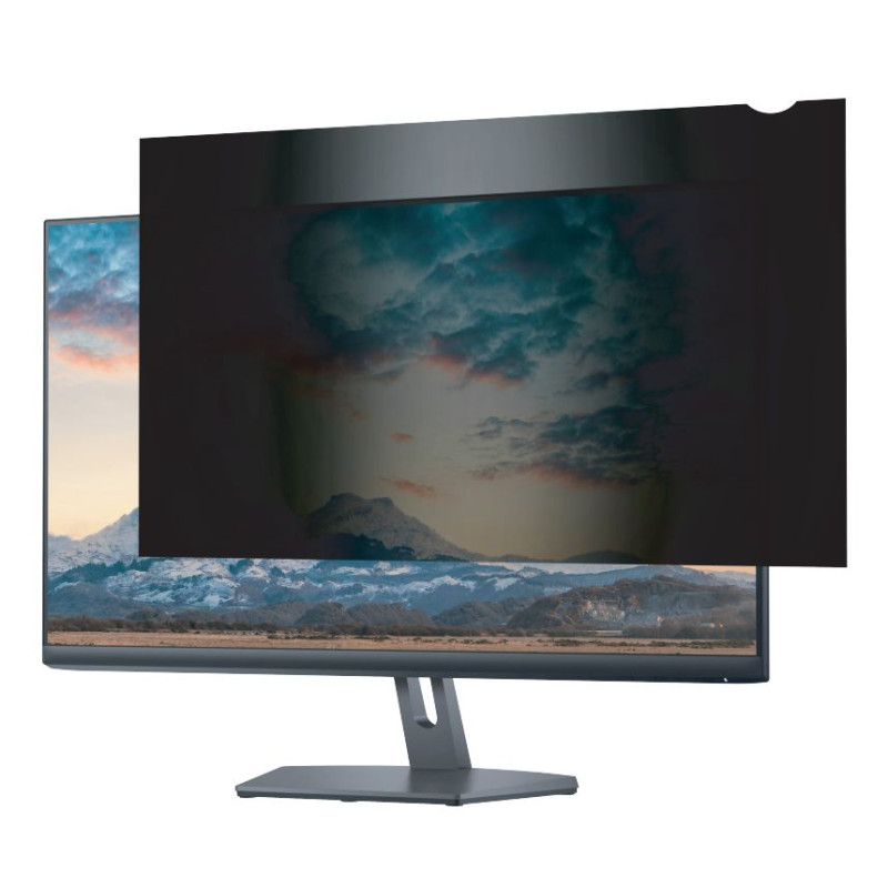 Privacy Filter 24" 532 mm x