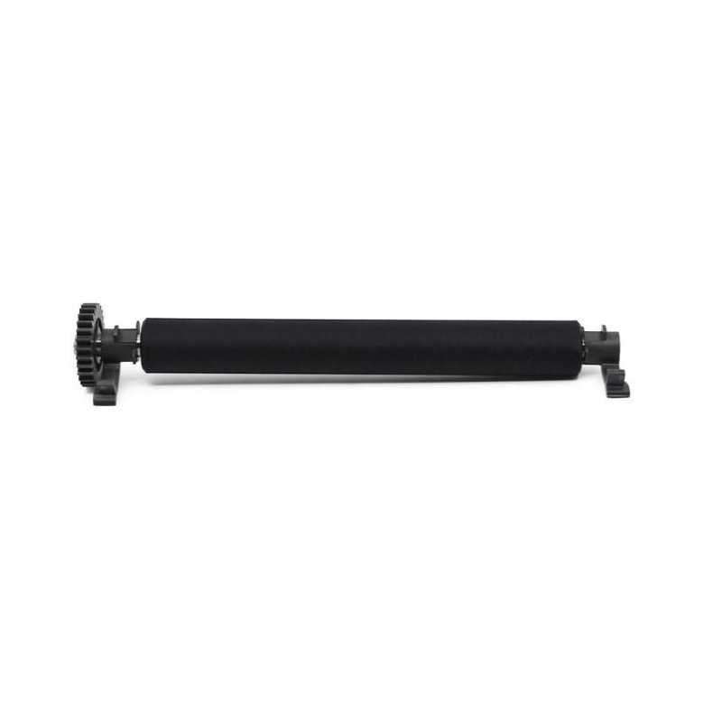 Kit Platen Roller 203 Dpi ZD421T | APLIUM