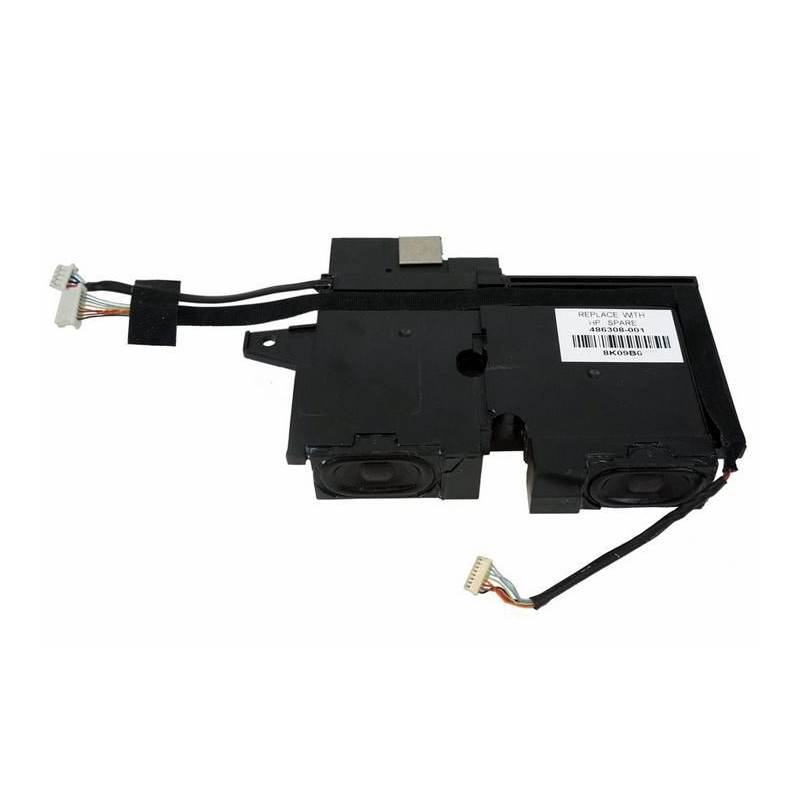 Speaker Module