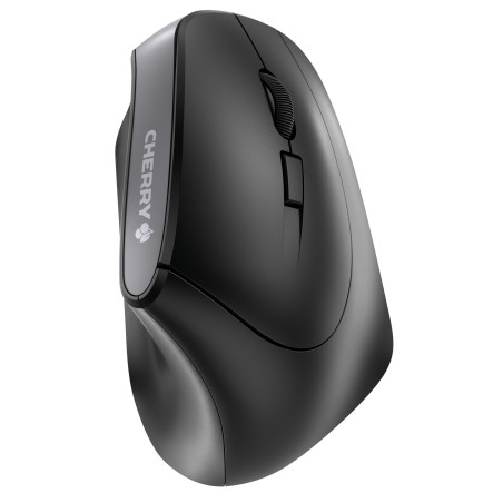 Maus MW 4500 wireless