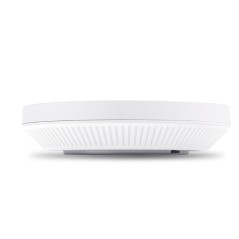 AX3000 Ceiling Mount