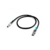TS 1 meter mini-SAS cable