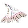 Fiber Pigtail Set 12x SC OM4