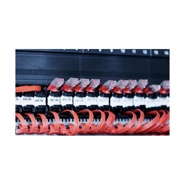 Identification Labels, 96pcs