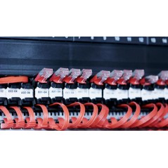 Identification Labels, 96pcs