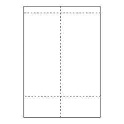 Ship-label 105 x 270mm. For | APLIUM