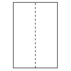 Ship-label 105 x 297mm. For | APLIUM
