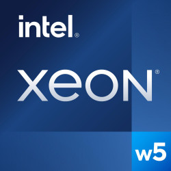 Intel Xeon w5-3435X procesador 3,1 GHz 45 MB Smart Cache Caj | APLIUM