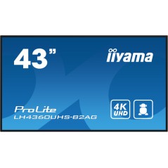 43" LCD UHD