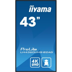 43" LCD UHD