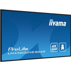 43" LCD UHD