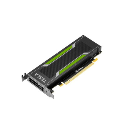 NVIDIA Tesla P40 24GB Module