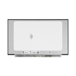 RAW PANEL LCD 13.3 HD AG SVA