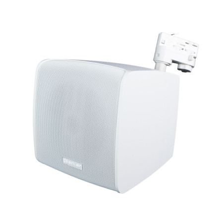 5" WiSpeak RX Cabinet WH