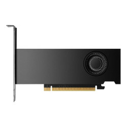 PNY NVIDIA RTX 2000 Ada Generation 16 GB GDDR6 | APLIUM