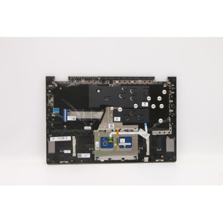 Upper Case ASM_SWS C 20WE