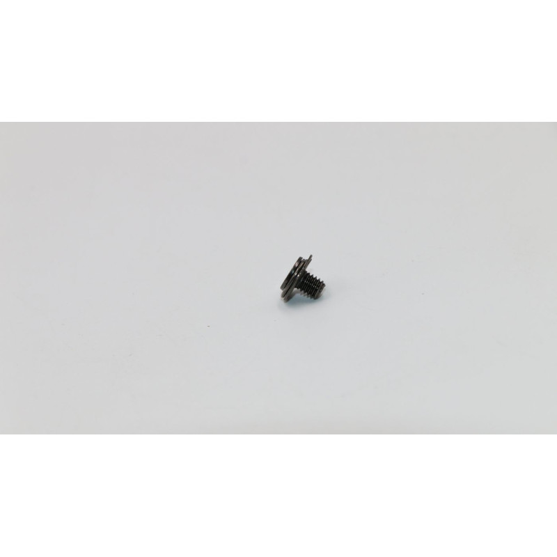 Screw