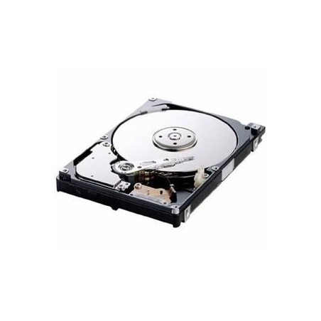 Flex System 500Gb 2.5" Hard