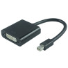 Mini DisplayPort to DVI Video