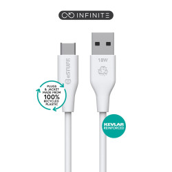 INFINITE (GRS) USB-C to USB-A
