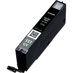 Ink/CLI-551 Cartridge GY