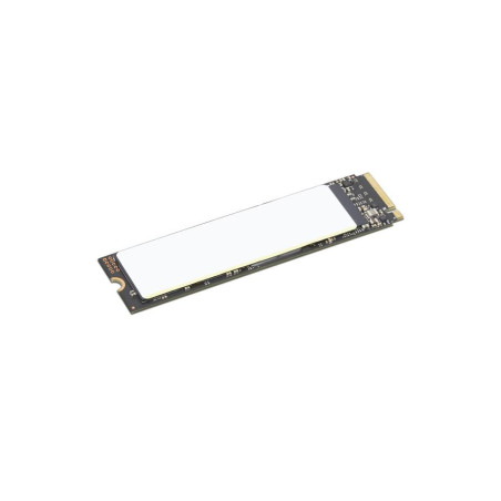 TP 512GB SSD PERFORM PCIE G4