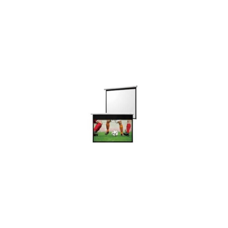 Fantasy motorized WM screen